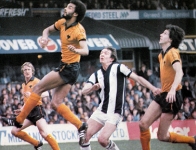 albion-wolves-apr-80