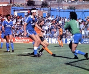 brighton-wolves-aug-80-2-copy