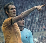 cov-wolves-69ish-doog