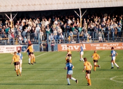 gills-wolves-88