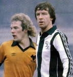 gray-and-wile-colour