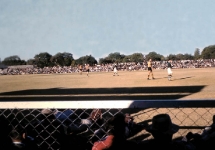 in-s-africa-action-2-copy_3