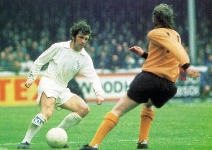 leeds-wolves-waggy-copy