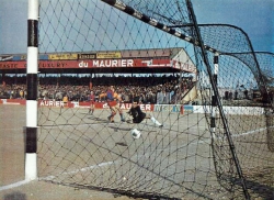 malta-wolves-colour2