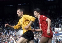 orient-wolves-john-sitton
