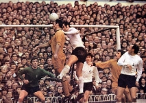 spurs-wolves-68-69-cup-copy