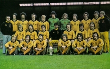 wolves-77-team-colour-copy
