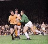 wolves-stoke-gould-colour-copy